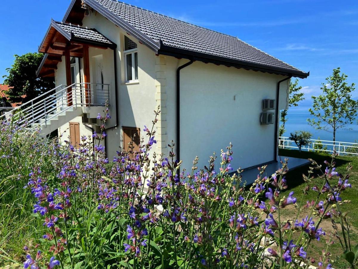 Xhuli Guesthouse Shkodër 외부 사진