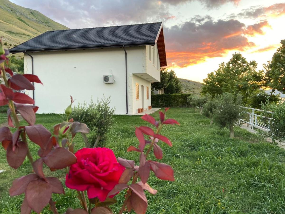 Xhuli Guesthouse Shkodër 외부 사진