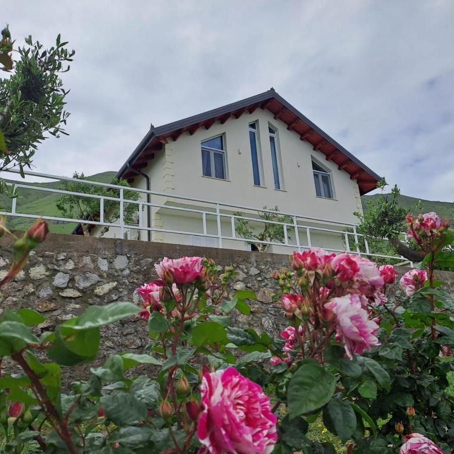 Xhuli Guesthouse Shkodër 외부 사진