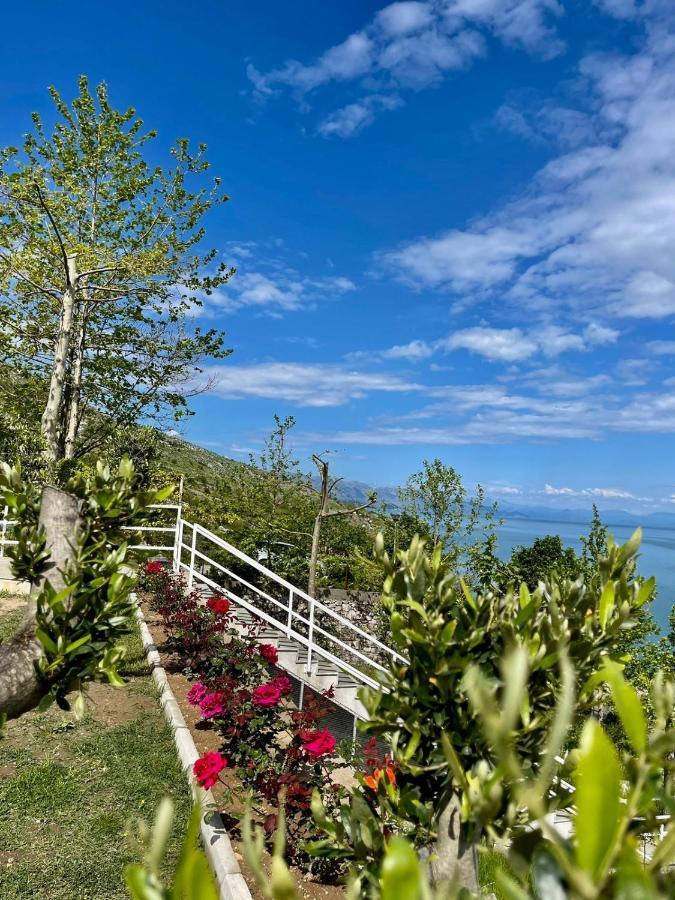 Xhuli Guesthouse Shkodër 외부 사진