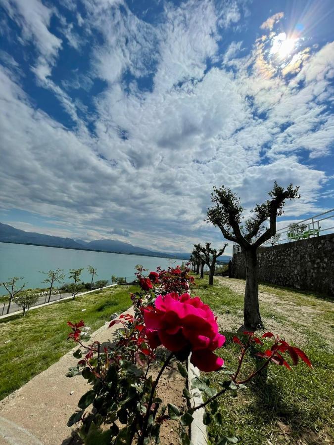 Xhuli Guesthouse Shkodër 외부 사진
